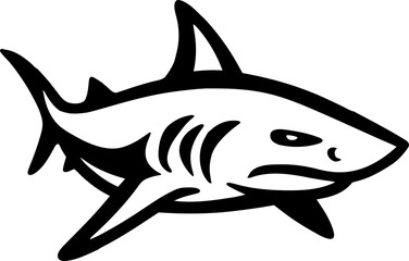 shark vector illustration