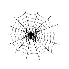 illustration of a spider web