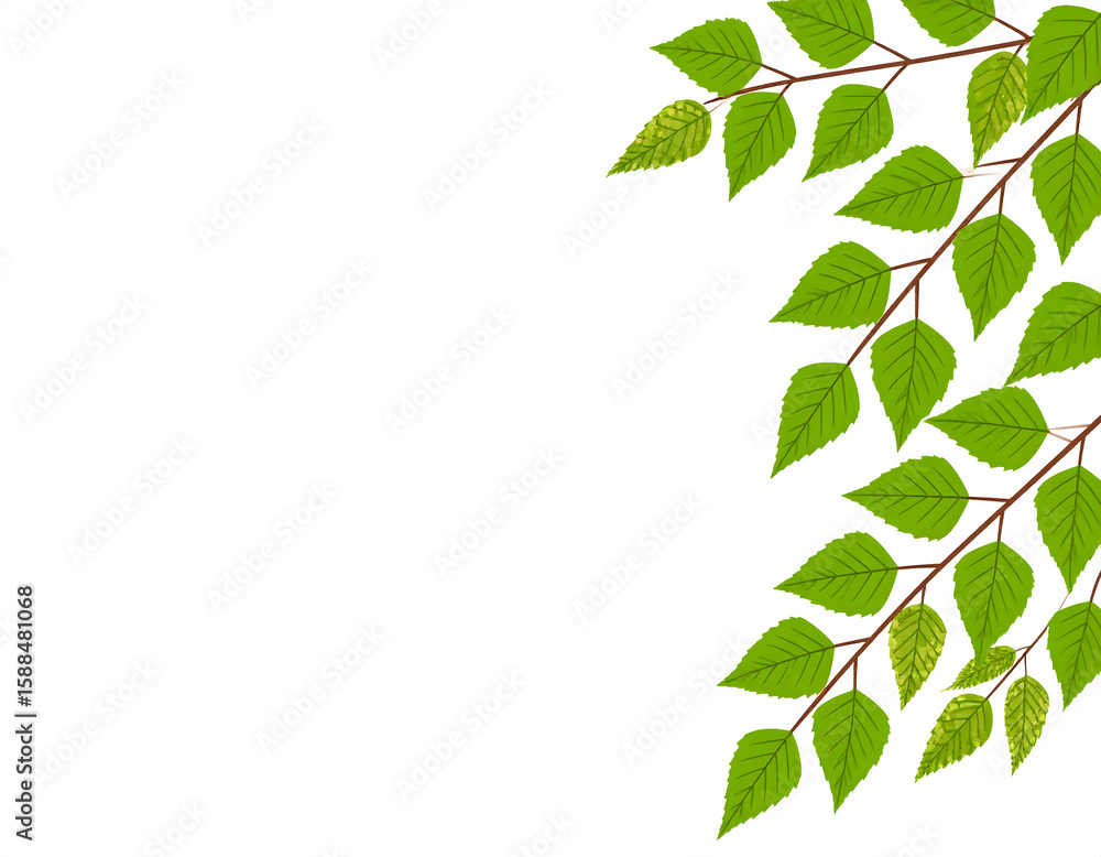 Fototapete green leafy branches creating a corner frame with white space for text or graphics