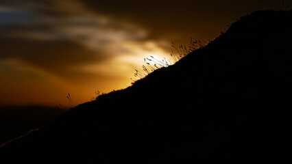 couché de soleil en pleine nature 