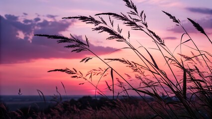 Obraz premium Pink And Purple Grass Silhouettes At Sunset.