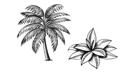 Vintage Palm Tree and Tropical Flower Sketch &ndash; Hand-Drawn Botanical Island Art