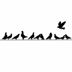 Vector silhouette of a group of pigeons perched on a power pole wire on a white background. A group of black pigeons perched. Vector illustration