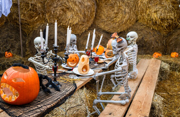 Halloween skeletons having dinner with pumpkins and candles on hay background
