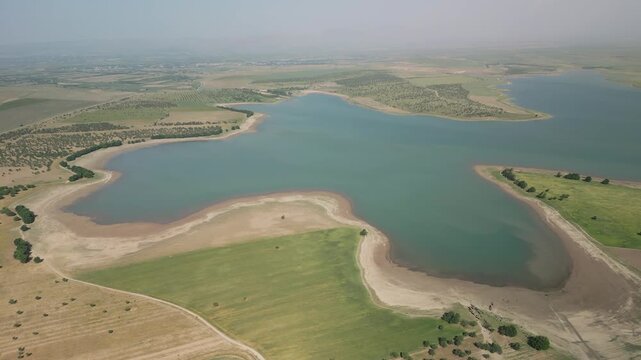 Waves gently reach the shore at Djizak Reservoir. A single tree stands near the water's edge. Surrounding fields stretch wide, with sky blending softly into distant horizon. The land feels peaceful
