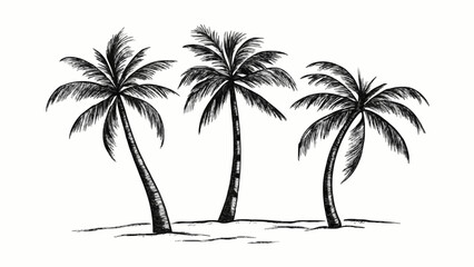 Fototapeta premium Three Palm Trees Drawing Vector Black and White Tropical Art