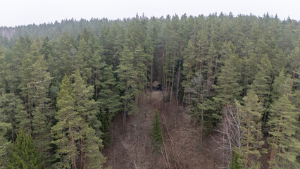 Aerial View of Cabin Hidden in Dense Forest