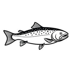 a Trout fish line art vector illustration. isolated white background