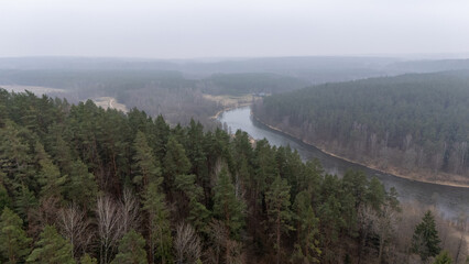 Aerial View of River and Forest Under Overcast Sky
