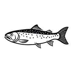 Fototapeta premium a Trout fish line art vector illustration. isolated white background