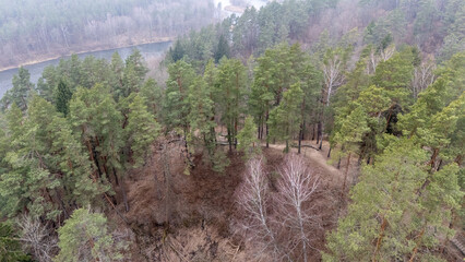 Aerial View of Forest and River Landscape