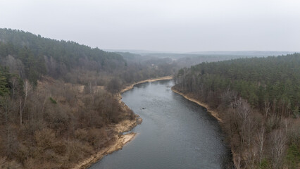 Aerial View of River Through Forested Landscape