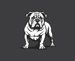 Standing Bulldog Illustration against black background