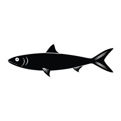 Obraz premium sardine fish vector illustration, isolated white background