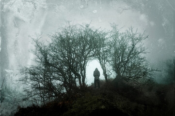A spooky, hooded figure, standing under trees on a mysterious foggy winters day in the countryside. With a grunge blurred edit.