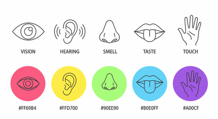 Simple line art icons representing the five senses: vision, hearing, smell, taste, and touch.