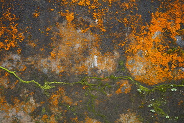the texture of the wall with rust