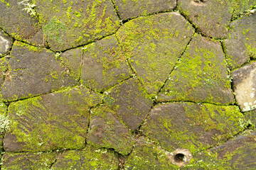 texture of stone and moss masonry
