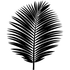 Palm Leaf Silhouette