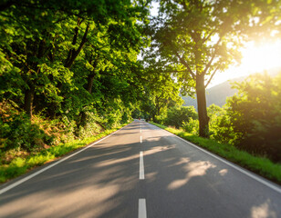 Obraz premium A sunlit road stretches through a lush green forest, creating a serene and inviting pathway for travelers.
