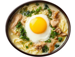 A culinary masterpiece featuring a perfectly cooked egg, tender chicken, vibrant green onions, and flavorful broth