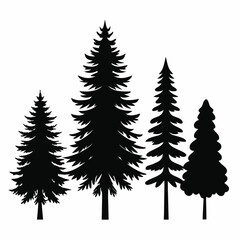 Obraz premium Black Silhouette of Pine Trees in Forest