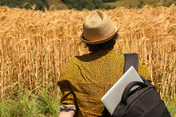 Agronomist observing golden wheat field during harvest, carrying a laptop for data collection and analysis. Perfect for illustrating modern agriculture; part of the “Agriculture” series.