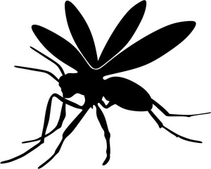 background ilustration mosquito vector 

