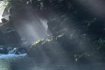 朝日が差し込む新緑と苔に包まれた円原川の幻想的な渓流風景
