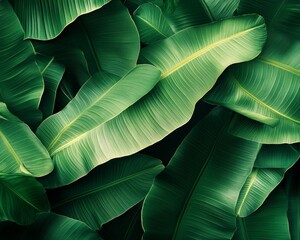Obraz premium Sunlit Green Elliptic Leaves Displaying Natural Textures and Patterns, Capturing Nature s Beauty.