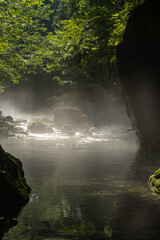 朝の光が差し込む幻想的な苔むした円原川の渓流風景（岐阜県）
