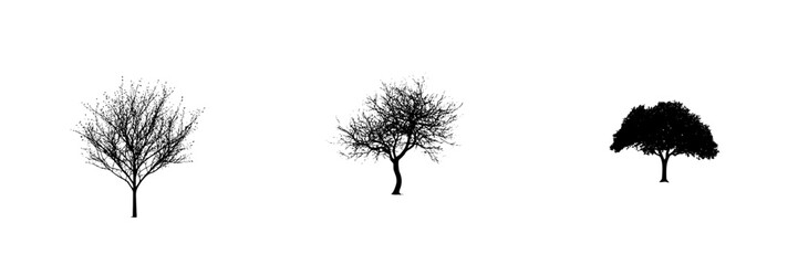 Fototapeta premium Silhouetted black tree icons depicting different shapes and styles against a white background for graphic design use