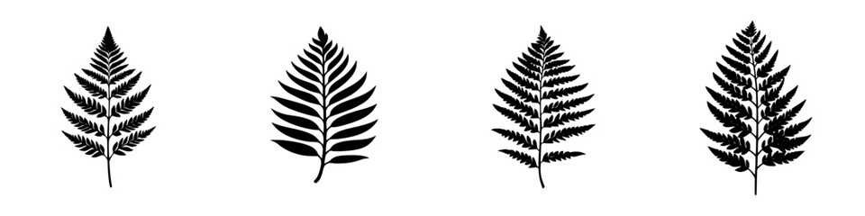Fototapeta premium Black icons of various fern leaf silhouettes arranged in a line on a white background showcasing botanical diversity