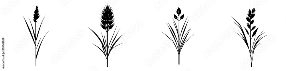 Poster silhouettes of various grass types arranged in a symmetrical pattern suitable for design purposes