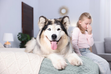 Girl suffering from allergy with her dog on bed at home, selective focus