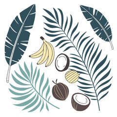 Obraz premium Tropical fruits and palm leaves vector illustration on white