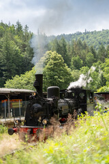 Vintage Steam Locomotive in Motion at Rural Railway Station – Historic Train with Smoke and Steam