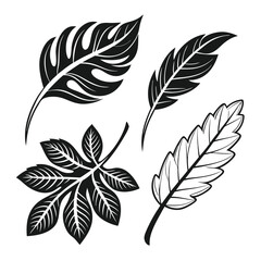 Fototapeta premium Variety tropical leaf illustrations