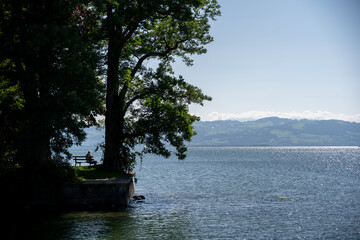 Solitary Figure on Park Bench beneath Towering Trees at Tranquil Lakeside – Scenic Summer Retreat...