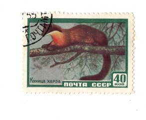 A vintage postage stamp from Russia on a white background.