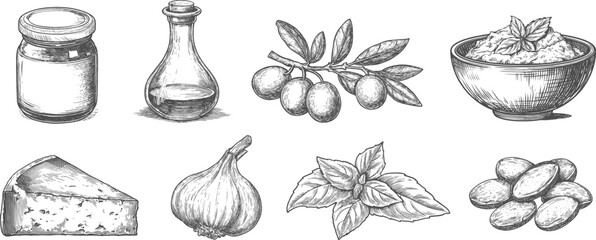 Set illustration of pesto sauce isolated on transparent background. Vector graphics