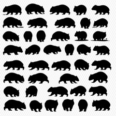 A collection of wombat silhouettes in various poses, arranged in a grid pattern against a transparent background.