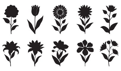 flowers silhouette set, silhouette of different type of flowers
