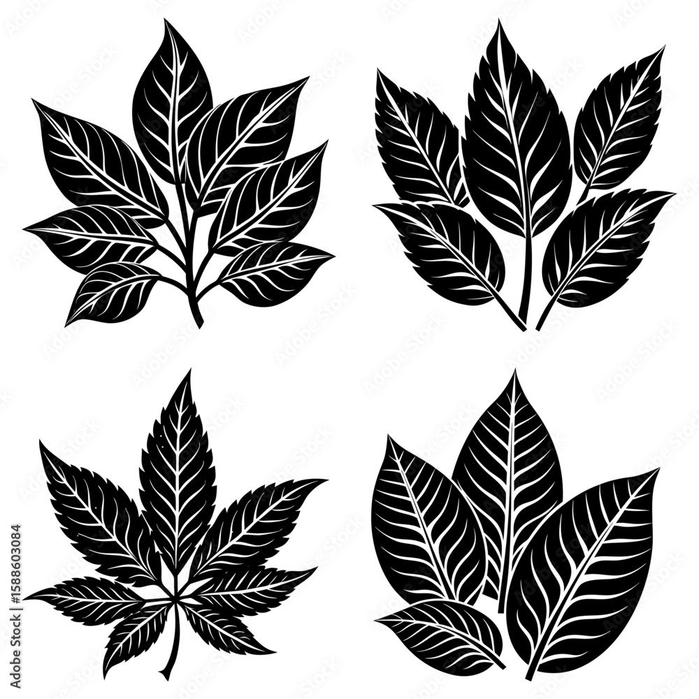 Aufkleber four different leaf arrangements in black and white with detailed vein patterns and distinct shapes 