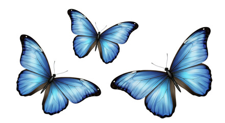 Three realistic blue morpho butterflies in flight isolated on transparent background