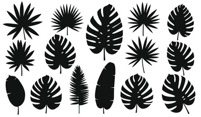 Collection of Black Silhouette Tropical Leaves