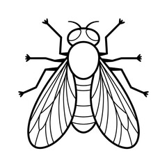 A black and white fly illustration line art of a coloring page