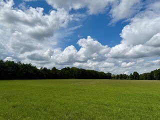 green field in the countryside, cloudy sky