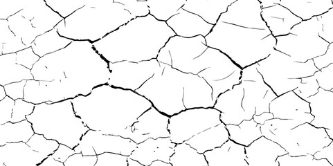 A stark, high-contrast black and white texture resembling cracked earth or shattered glass, showcasing an intricate network of irregular lines against a pristine white background. 