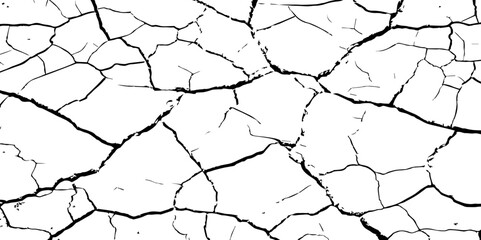 A stark, high-contrast black and white texture resembling cracked earth or shattered glass, showcasing an intricate network of irregular lines against a pristine white background. 